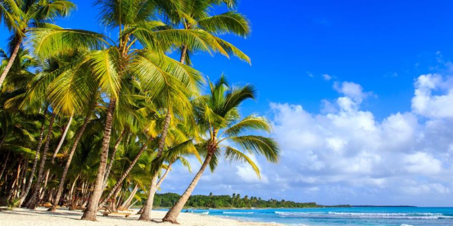 Доминикана по карману